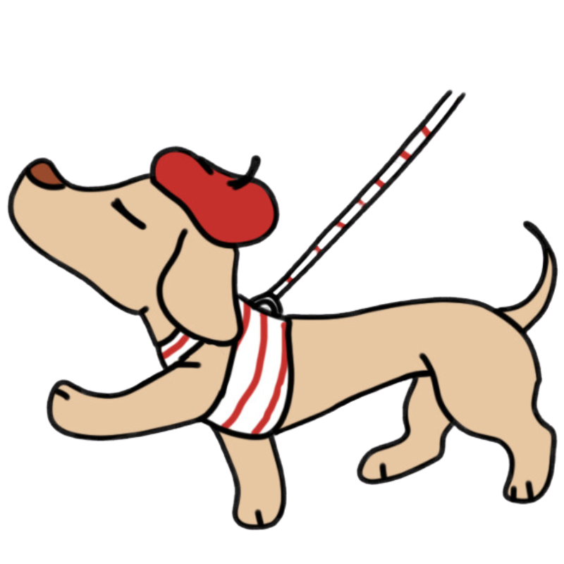 Éducateur comportementaliste canin