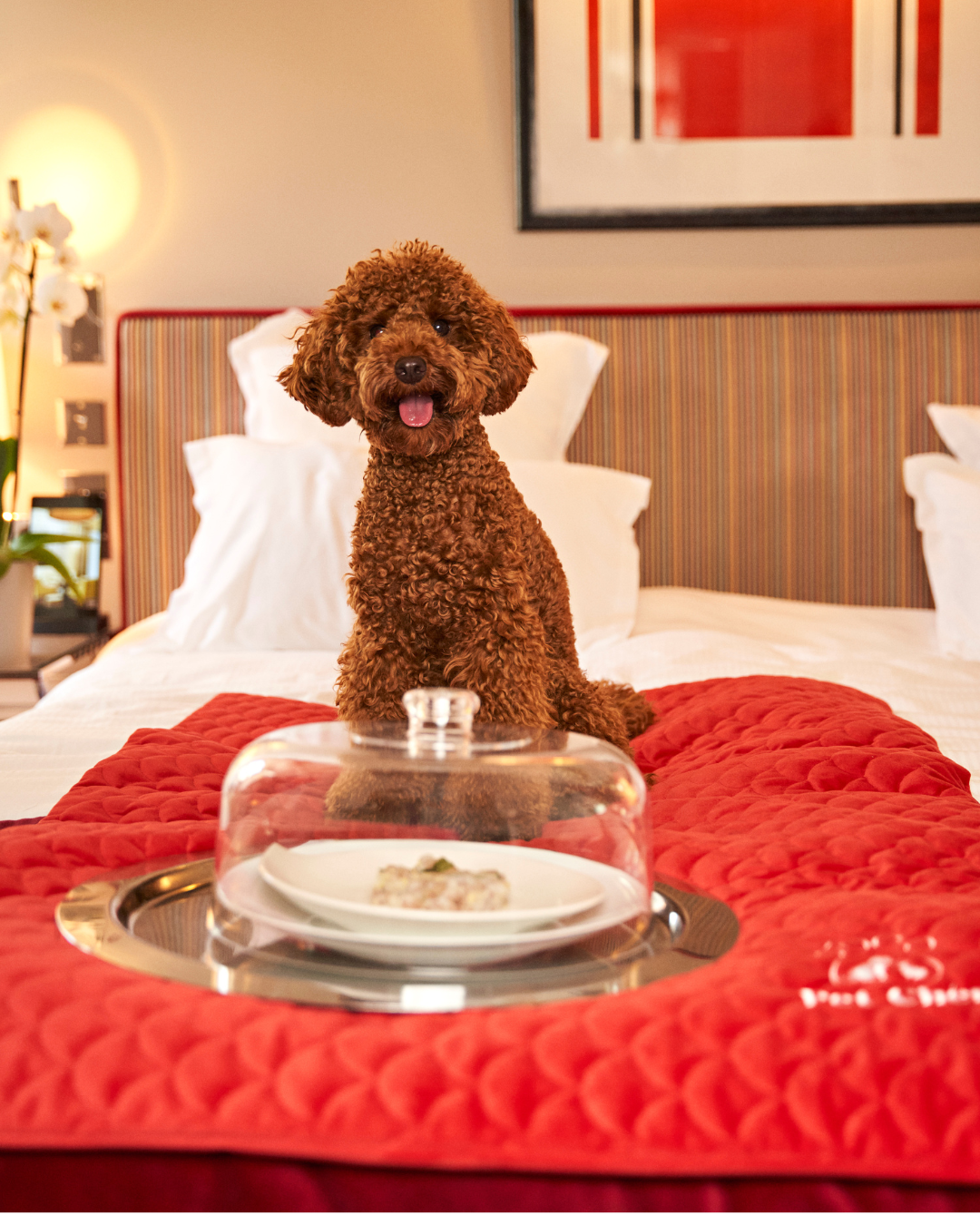 Room Service en marque blanche