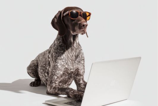 Why Integrate a Pet Concierge Service into Your Employee Benefits?